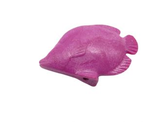 Fisch Schmetterlingsfisch