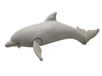 Delfin Delphin