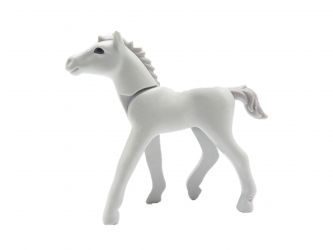 Fohlen Pferd