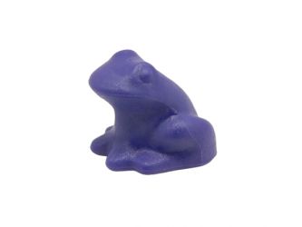 Frosch