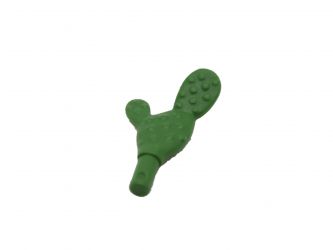 Kaktus klein