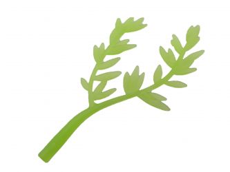 Weidenast Weidenblätter