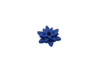 Blüte Seerose