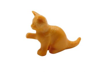 Katze sitzend Katze sitzend