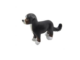 Hund Welpe Bernersenn