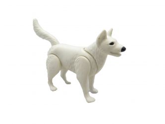 Schäferhund weiß