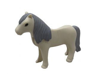 Pony, Pferd