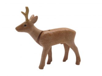 Reh Geweih Reh Geweih