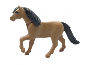 Pferd Pony