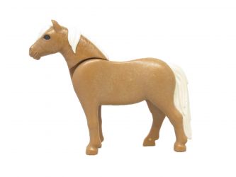 Pferd Pony
