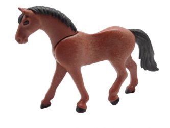 Pferd Trakehner